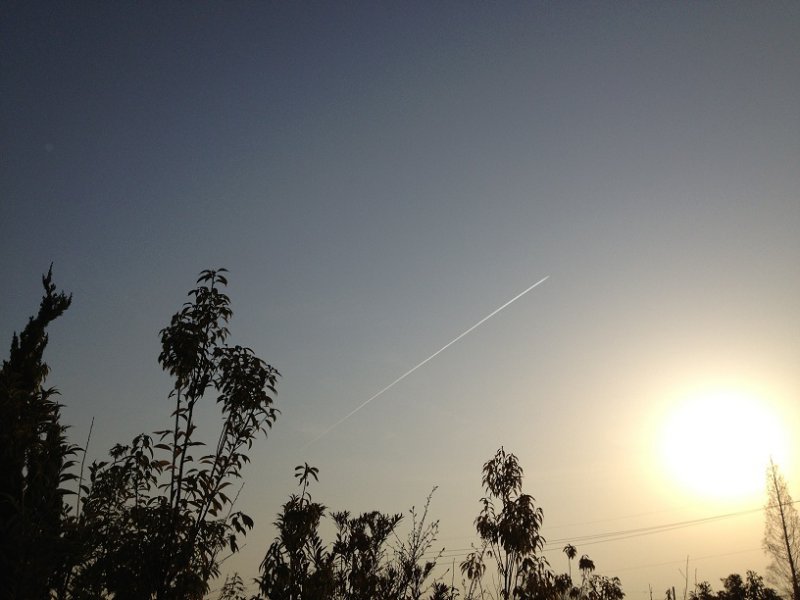 朝日に飛行機雲