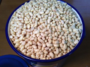 味噌づくりふっくら豆