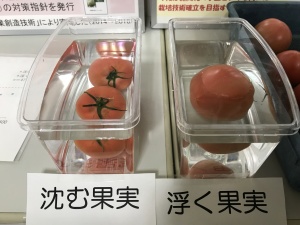 愛知県農業試験場公開デー