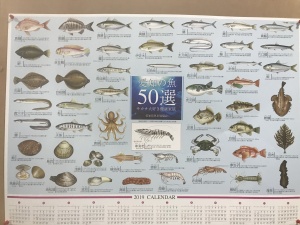 お魚カレンダー2019年