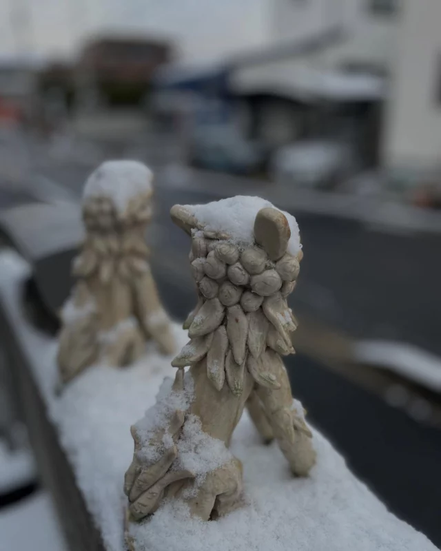 寒い朝ですね。
「雪だよー☃️！」と声をかけても、飛び起きて遊ぶ子どもたちが大きくなり、少し寂しさを感じます。玄関の狛犬さんも雪化粧しました。

今日は西洞公園の愛護会活動の予定でしたが、雪のため延期に。間違えて来る子がいないか様子を見に行きましたが、大丈夫でした。公園には雪遊びをする子どもたちの姿があり、手袋やブーツでしっかり防寒していて安心しました。

皆さま、どうぞ暖かくしてお過ごしくださいね。

#寒い朝 #雪景色 #雪遊び #子どもの成長 #狛犬 #雪化粧 #西洞公園 #公園遊び #冬の日 #ほっこり時間 #暖かくしてね　#長久手